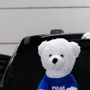 Snowball, the Polar Tint mascot