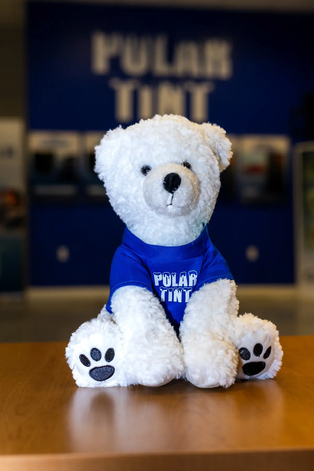 Snowball the Polar Tint mascot at a Polar Tint location