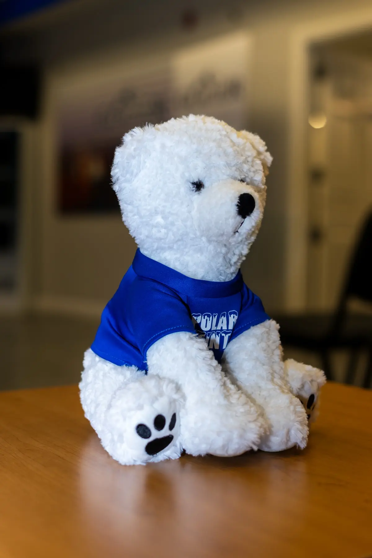 Snowball the Polar Tint mascot inside a Polar Tint shop