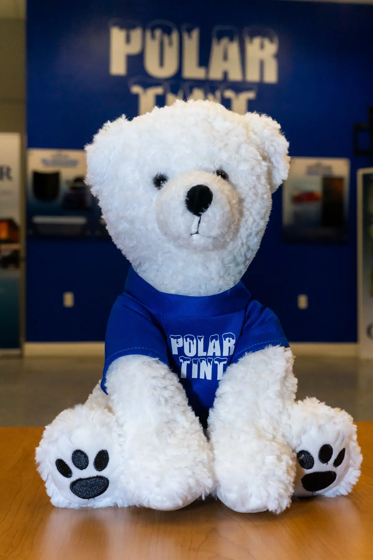 Snowball, the Polar Tint polar bear mascot, outside a Polar Tint storefront