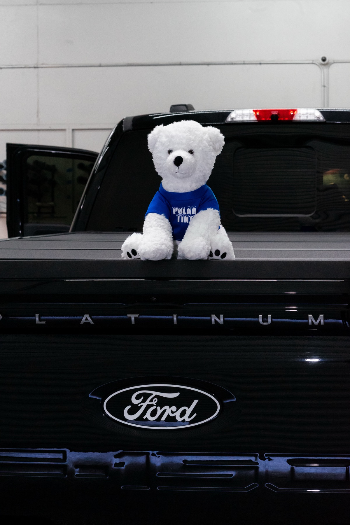 Snowball, the Polar Tint mascot