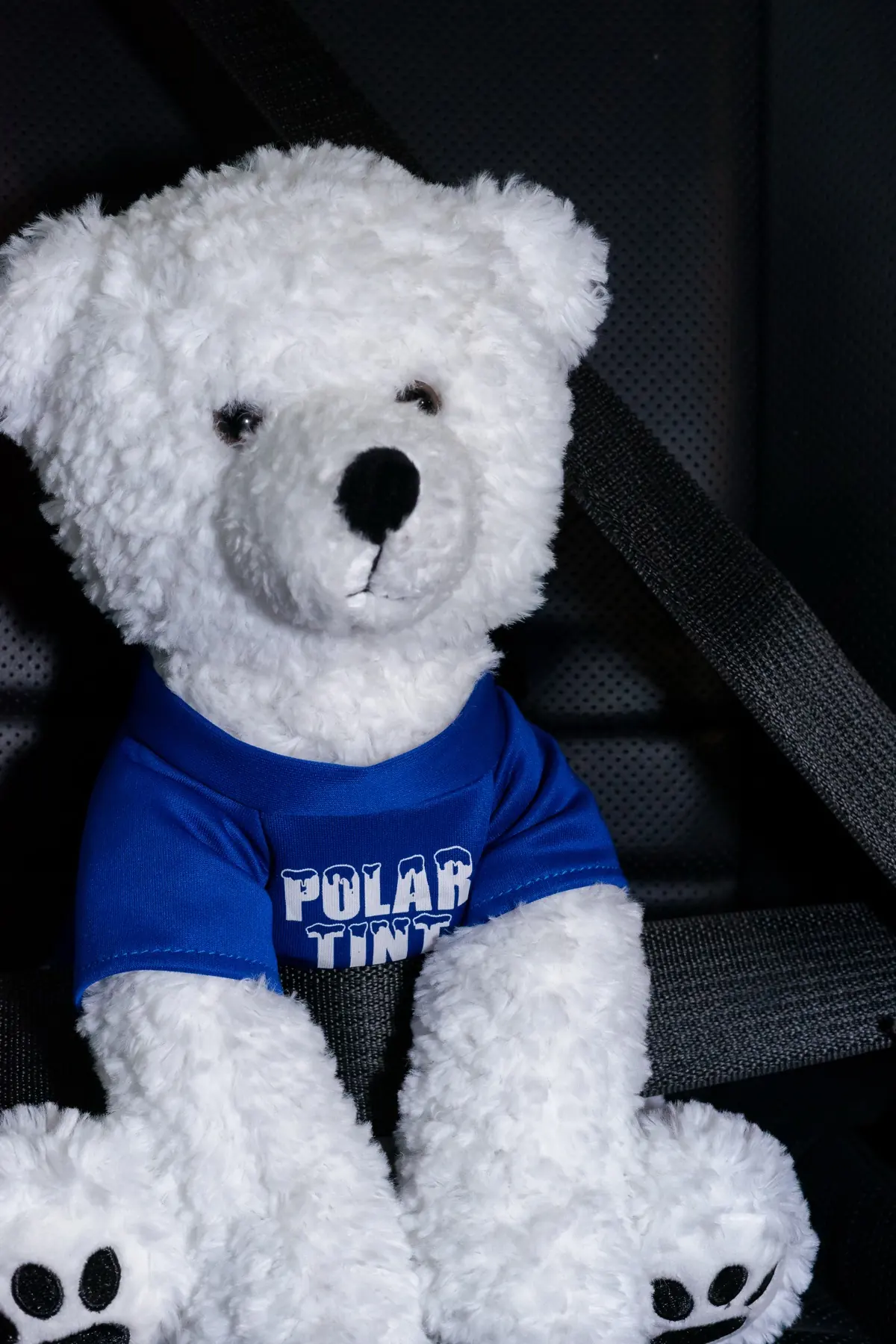 Snowball, the Polar Tint polar bear mascot, wearing a blue Polar Tint shirt